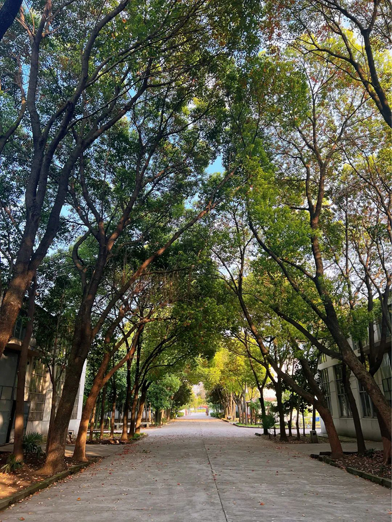 極致的康發(fā)雙螺桿擠出機工匠精神，支撐著在追逐夢想的旅程中穩(wěn)步邁進。