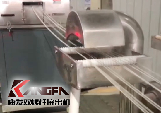 65高扭+PLC，尼龍加纖雙螺桿擠出機試機